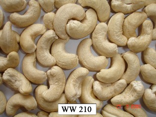 Cashew Kernels
